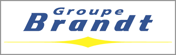 Brandt Group logo
